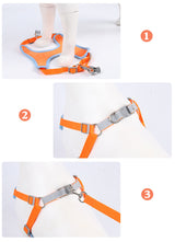 Dog Harness with Leash Set